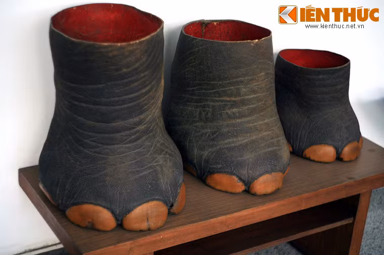 Những chiếc chân voi "thứ thiệt" đã được thuộc da để dùng làm vật trang trí.