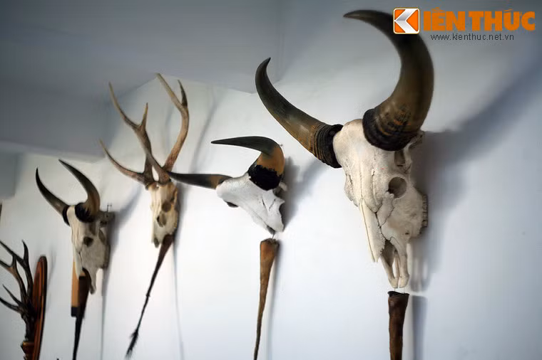 Các món quà tặng gia đình Tổng thống được bày dọc theo dãy hành lang nằm giữa hai cửa vào.