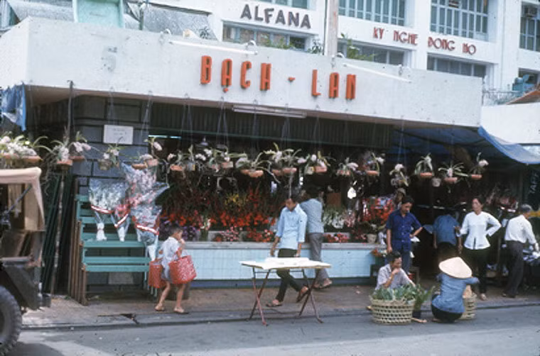 Cửa hàng bán hoa Tết.