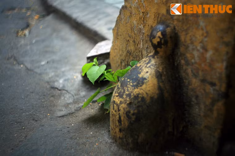 Phải đến năm 1954, việc sản xuất và sử dụng thuốc phiện mới bị cấm ở Đông Dương.