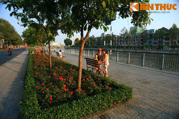 Đó là những vườn hoa tươi tắn được chăm sóc cẩn thận.