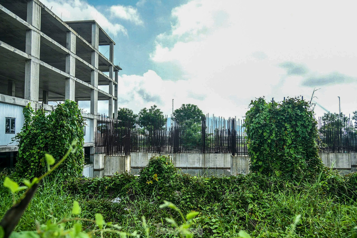 Ghi nhận của PV Tiền Phong, xung quanh dự án trên đường Như Nguyệt được vây kín bằng tôn hiện đã gỉ sét, xiêu vẹo. Phía bên trong cỏ, cây dại mọc tràn lan, lấp kín cả các hạng mục xây dựng.