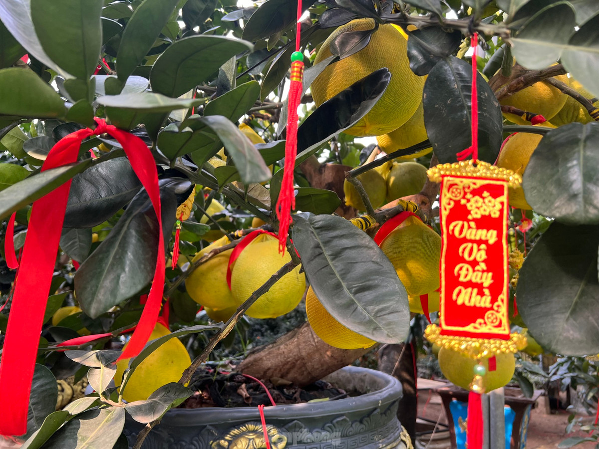 Những câu chúc ý nghĩa, cầu mong nhiều may mắn.