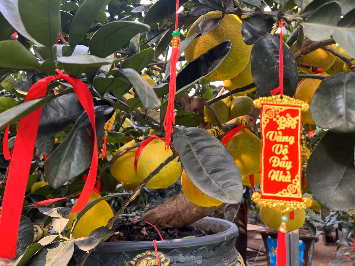 Những câu chúc ý nghĩa, cầu mong nhiều may mắn.