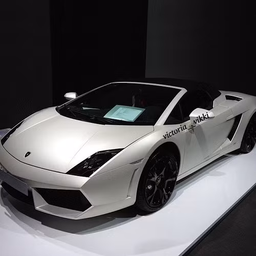Siêu bò Lamborghini Aventardor là một phần không thể thiếu trong bộ sưu tập của cô.