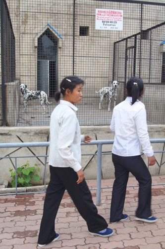 Vườn thú Bình Nhưỡng mở cửa hàng ngày nhưng cuối tuần là thời điểm đông khách tham quan nhất.