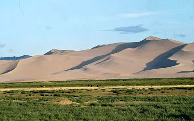 Mối đe dọa thực sự là sự mất đất đai bởi quá trình sa mạc hóa đang diễn ra ngày càng mạnh mẽ và phức tạp.