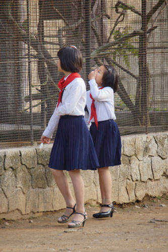 Hai nữ sinh Triều Tiên thăm quan vườn thú.