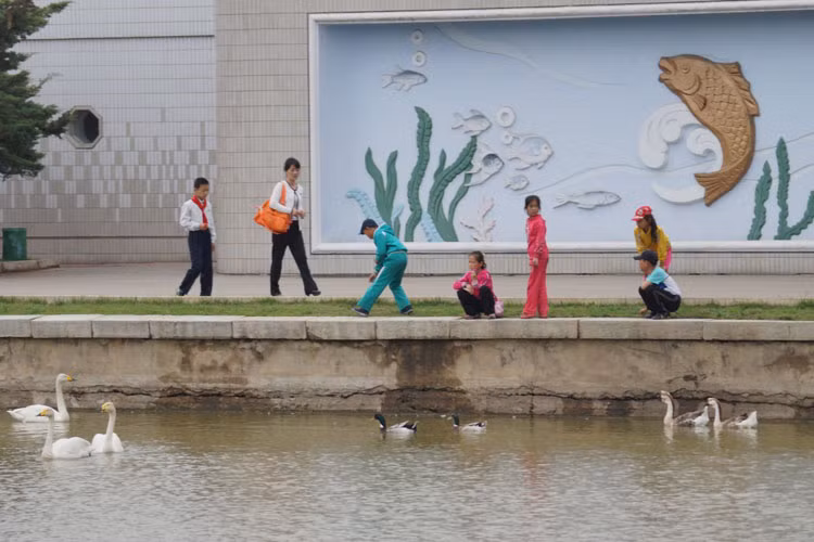 Nhưng một điều bất ngờ là, ở sở thú Bình Nhưỡng còn có các chuồng dành cho chó và mèo nhà.