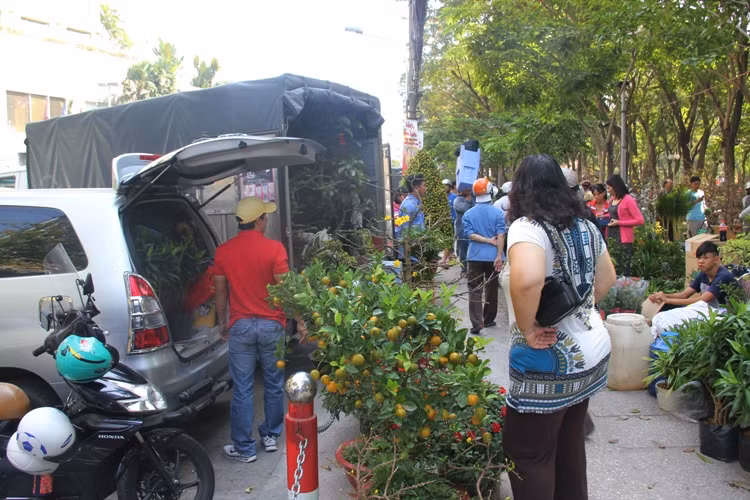 Nhiều gia đình đưa cả ô tô, xe tải để "thu gom" hoa, kiểng.