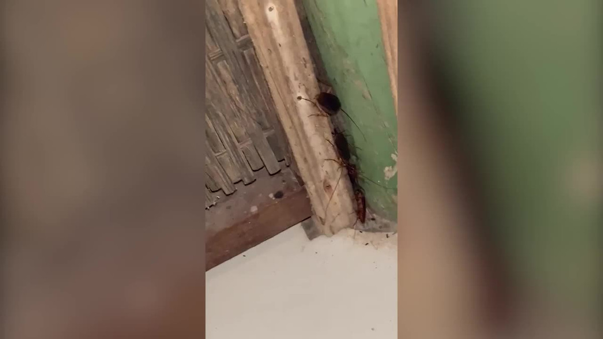 Đi du lịch bụi, cô gái sốc nặng trước cảnh tượng trong nhà nghỉ Di du lich bui, co gai soc nang truoc canh tuong trong nha nghi