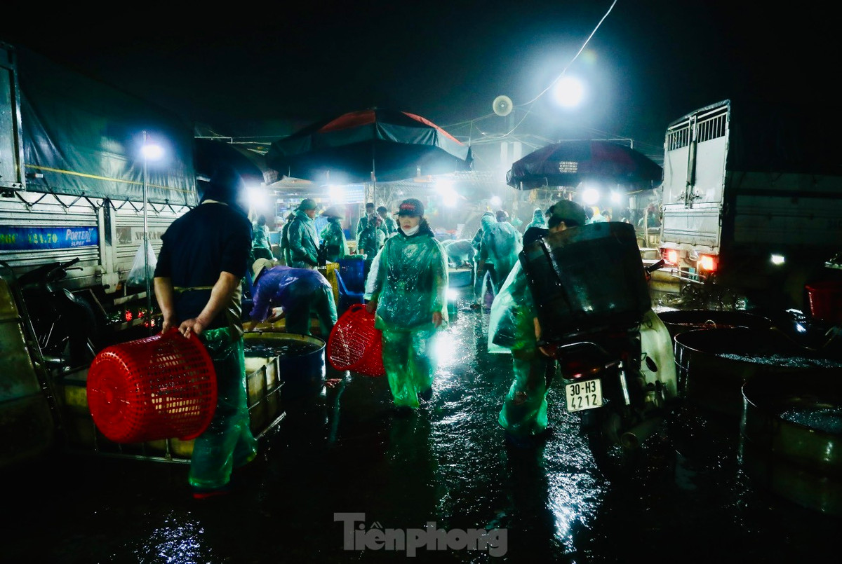 Thời tiết sáng sớm có mưa rét, không còn cảnh chen chúc, xếp hàng mua cá như mọi năm.