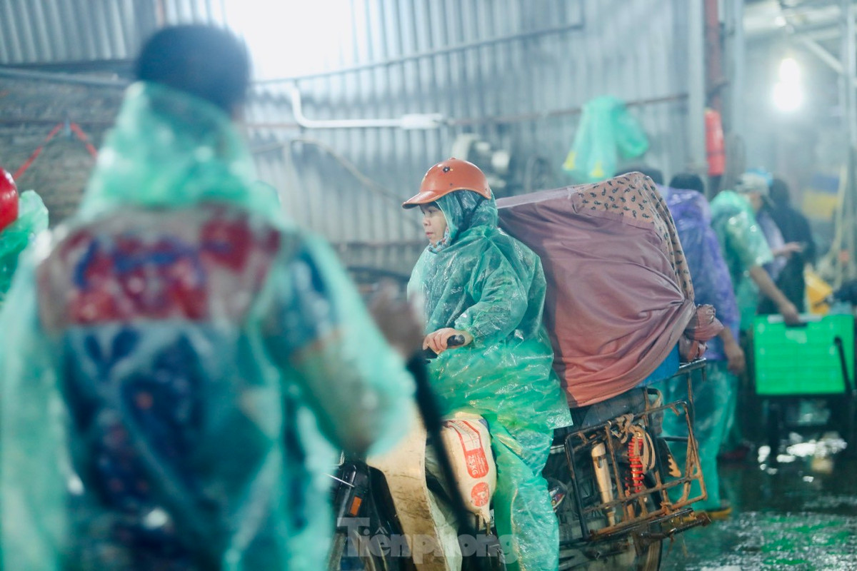 Sau khi mua được lượng cá tại chợ Yên Sở (Hà Nội), các tiểu thương nhỏ hối hả đem về bán tại các chợ dân sinh khu vực nội thành.