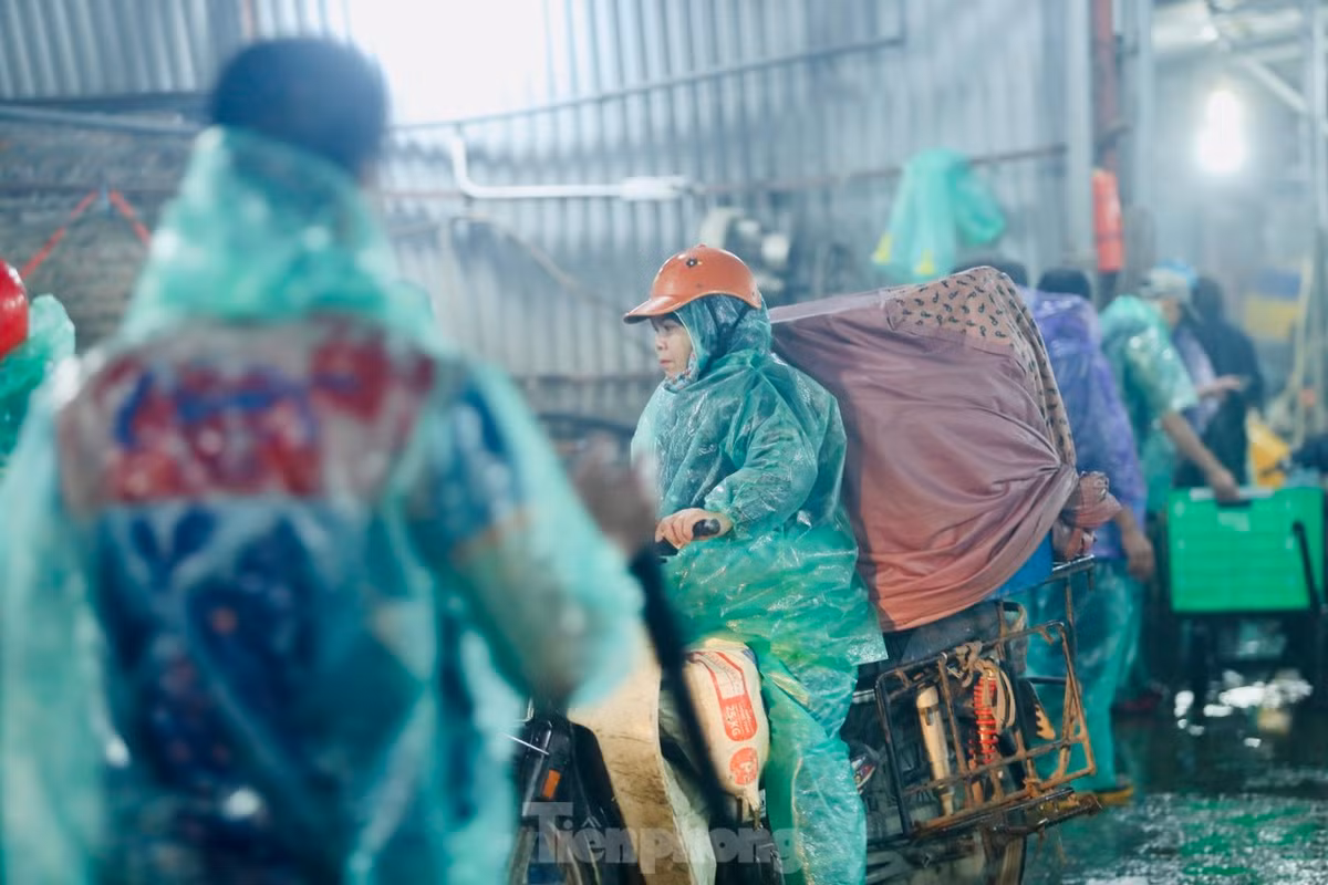 Sau khi mua được lượng cá tại chợ Yên Sở (Hà Nội), các tiểu thương nhỏ hối hả đem về bán tại các chợ dân sinh khu vực nội thành.