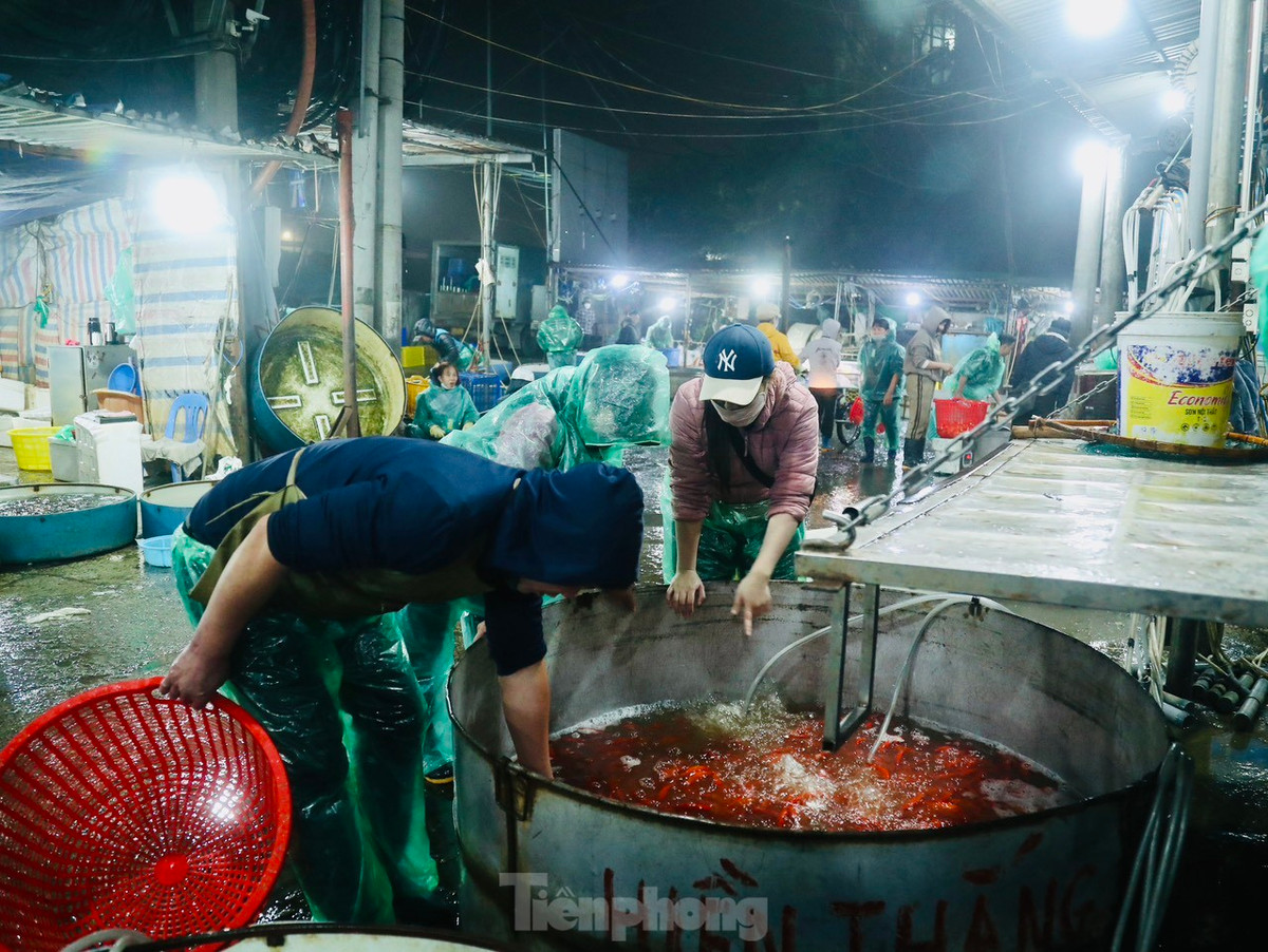 Các tiểu thương buôn bán cá lâu năm tại chợ cho biết năm, nay nguồn cung cấp cá dồi dào, cá chép có kích thước và màu sắc tươi đẹp nhưng sức mua không bằng năm trước.