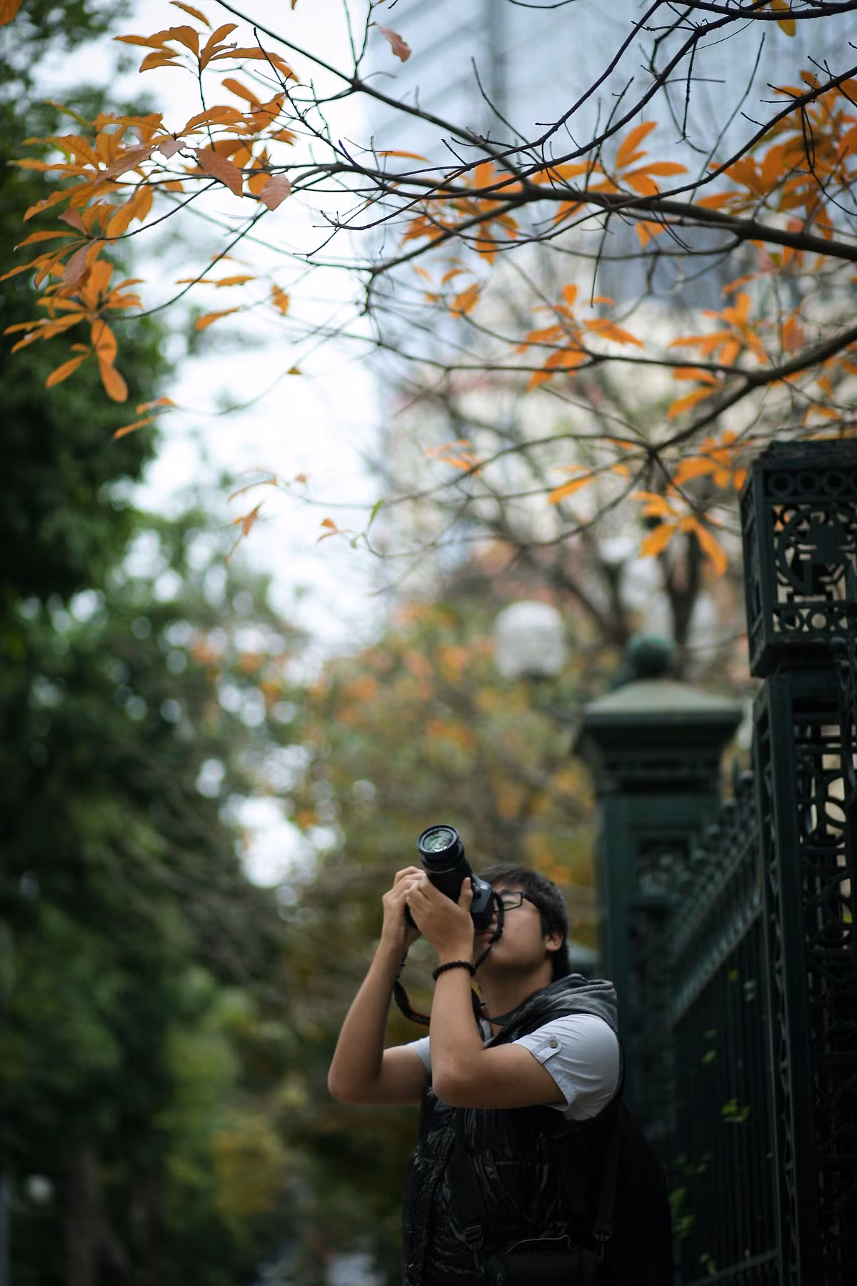 Thu thay màu lá quyến rũ người đi đường dừng chân đứng ngắm không gian quanh mình để cảm thấy chút se lạnh nhưng đầy cảm xúc.