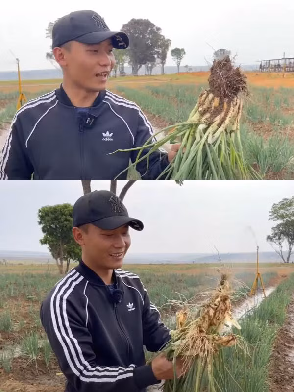 Quang Linh Vlog tiet lo 'goc khuat' it ai ngo ve nguoi dan chau Phi-Hinh-5