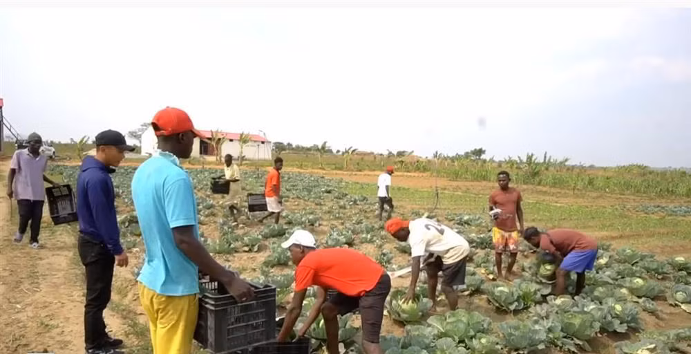 Quang Linh Vlog boi thu tren manh dat can coi o chau Phi-Hinh-4