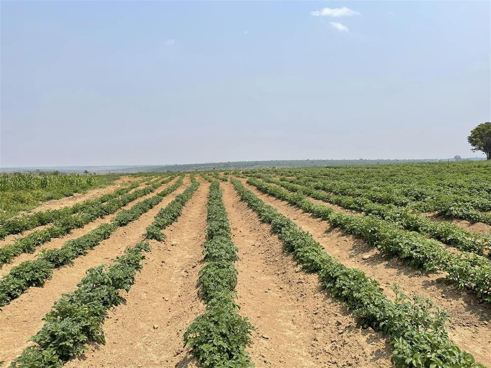 Quang Linh Vlog boi thu tren manh dat can coi o chau Phi-Hinh-3