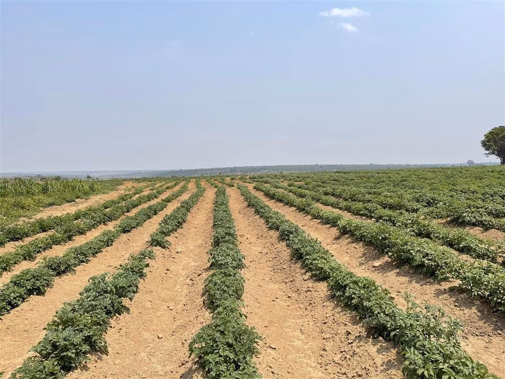 Quang Linh Vlog boi thu tren manh dat can coi o chau Phi-Hinh-3