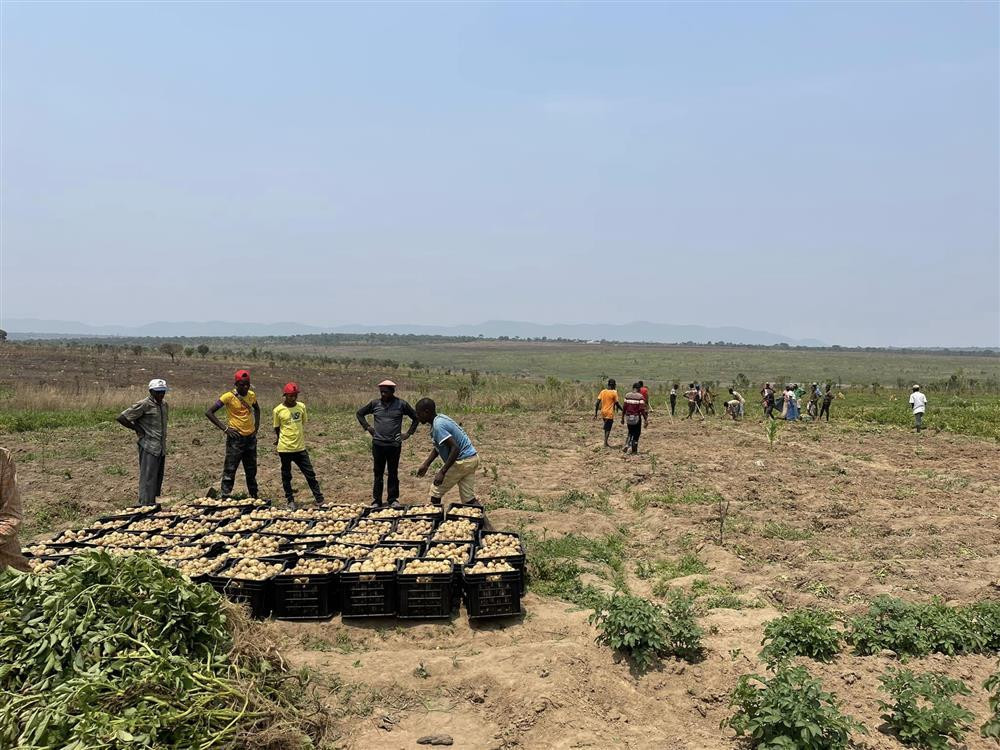 Quang Linh Vlog boi thu tren manh dat can coi o chau Phi-Hinh-2