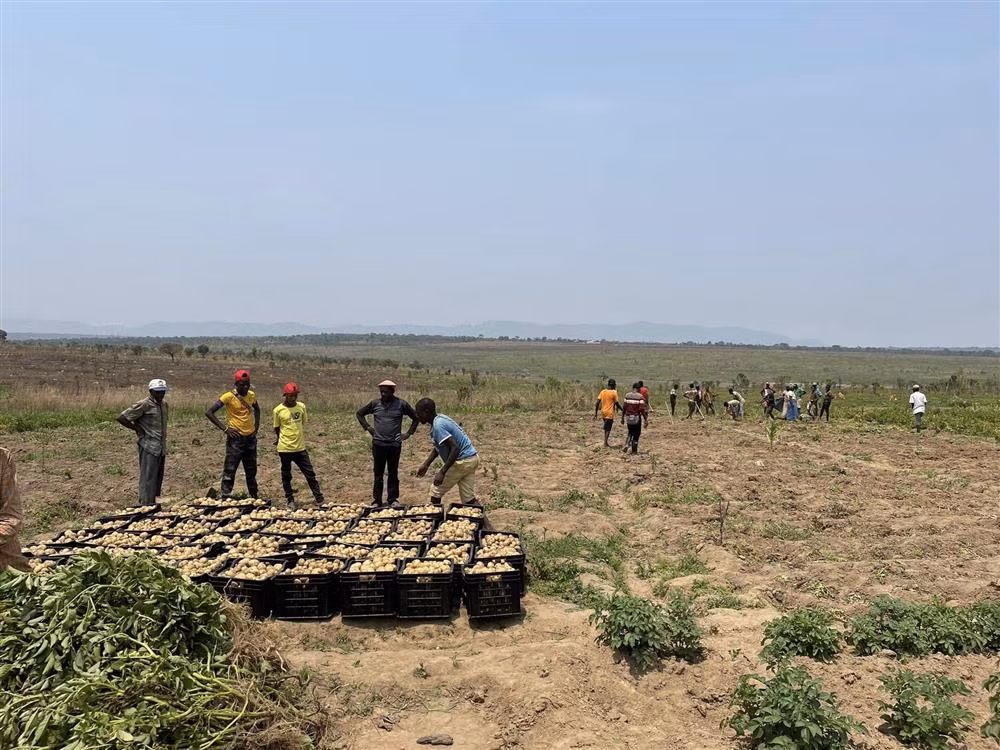 Quang Linh Vlog boi thu tren manh dat can coi o chau Phi-Hinh-2