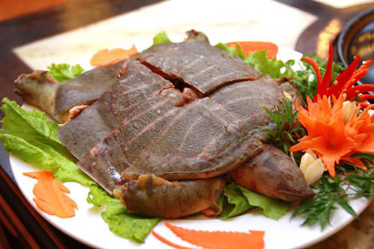 Loài cua này được xếp vào hàng đặc sản, giá 800.000 đồng/kg. Những món ăn từ cua đinh cực kỳ bổ dưỡng và có lợi cho sức khỏe do có thành phần dinh dưỡng cao như canxi, iot, sắt… và rất giàu vitamin.