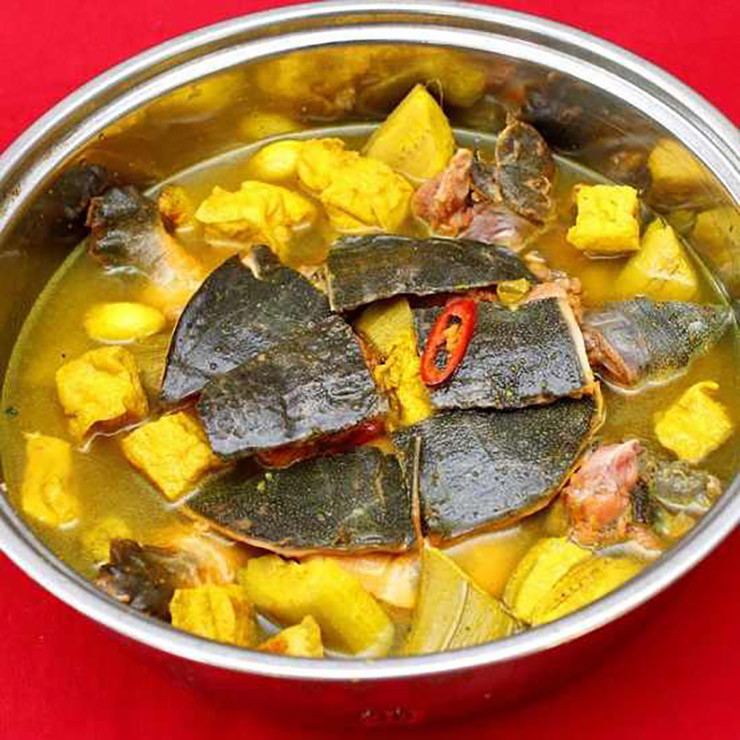 Cua đinh có trọng lượng lên tới 5-15kg, nhiều cá thể được tìm thấy trong tự nhiên có thể lên đến 30kg - to hơn ba ba rất nhiều.