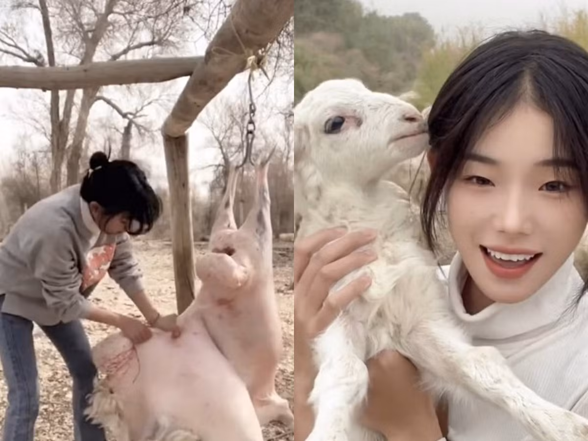 Co gai tro thanh sao mang nho clip mo thit cuu