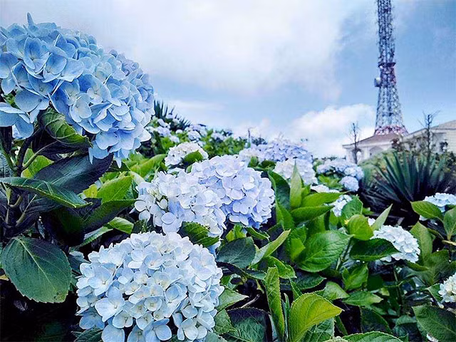 Sinh ngày Âm lịch kết thúc bằng số này, về già hưởng nhiều phước Sinh ngay Am lich ket thuc bang so nay, ve gia huong nhieu phuoc