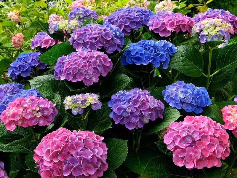 Sinh ngày Âm lịch kết thúc bằng số này, về già hưởng nhiều phước - Hình 3 Sinh ngay Am lich ket thuc bang so nay, ve gia huong nhieu phuoc-Hinh-3