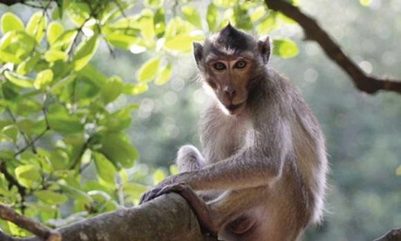 Cảm xúc thăng trầm sẽ tương đối lớn, bạn cần phải xả khí đúng cách, không thể xả khí vào người thân, có thể cân nhắc giải tỏa bằng cách đổ mồ hôi qua các bài tập thể dục. 