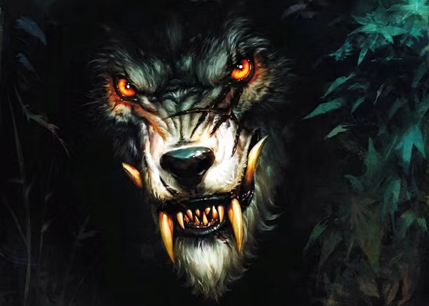 Trùm phát xít Adolf Hitler đã sử dụng từ "Werwolf" (trong tiếng Đức có nghĩa ma sói) để đặt tên cho một trung tâm chỉ huy hồi Chiến tranh thế giới 2.