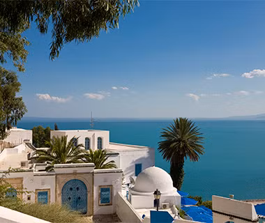 Thị trấn Sidi Bou Said có những bến cảng xinh đẹp giống như tranh vẽ mang phong cách Địa Trung Hải của Tunisia.