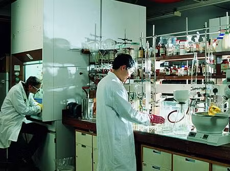 Về nghề nghiệp: Những người sinh ngày 16/10 thường khá thành công trong lĩnh vực kinh doanh, đầu tư. Bên cạnh đó, bạn có khả năng trở thành nhà khoa học, chuyên viên nghiên cứu.