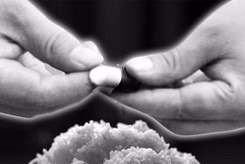 Trong thời gian từ năm 1971 - 1983, sát nhân bệnh hoạn Kraft đã giết 16 người. Tên sát nhân bệnh hoạn trên thường gây án theo cùng một phương thức đó là mời người tình đồng giới về nhà để đánh thuốc mê rồi giết họ. Sau đó, y đặt thi thể nạn nhân trên ghế để chụp ảnh.