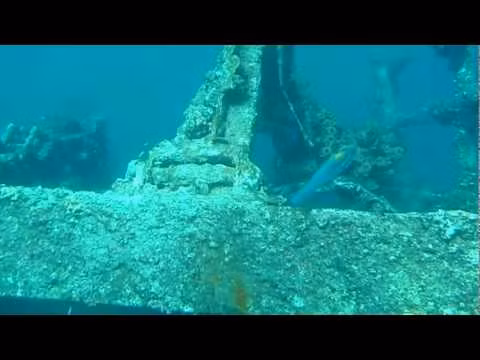 Con tàu trên được đóng nhằm nhiệm vụ cung ứng các dịch vụ cho tàu ngầm U-boat của quân đội phát xít Đức.