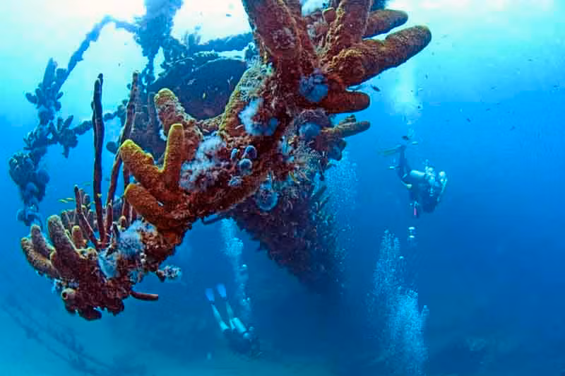 Sở dĩ con tàu bị đánh chìm là do phát xít Đức không muốn số vàng trên tàu rơi vào tay quân đội Hà Lan.