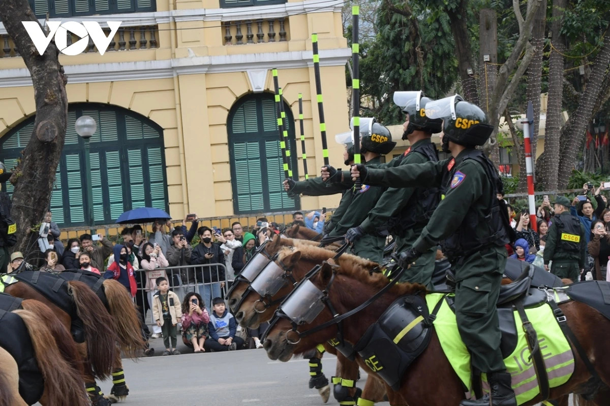 Cảnh sát cơ động kỵ binh sử dụng giống ngựa lùn Mông Cổ, có khả năng thích nghi tốt với khí hậu, địa hình tại Việt Nam và sức chiến đấu dẻo dai.