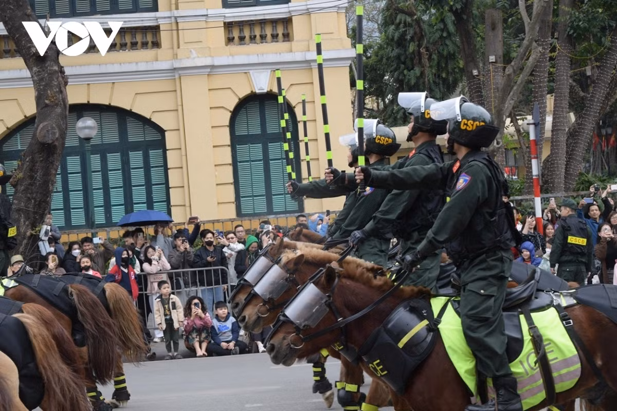 Cảnh sát cơ động kỵ binh sử dụng giống ngựa lùn Mông Cổ, có khả năng thích nghi tốt với khí hậu, địa hình tại Việt Nam và sức chiến đấu dẻo dai.