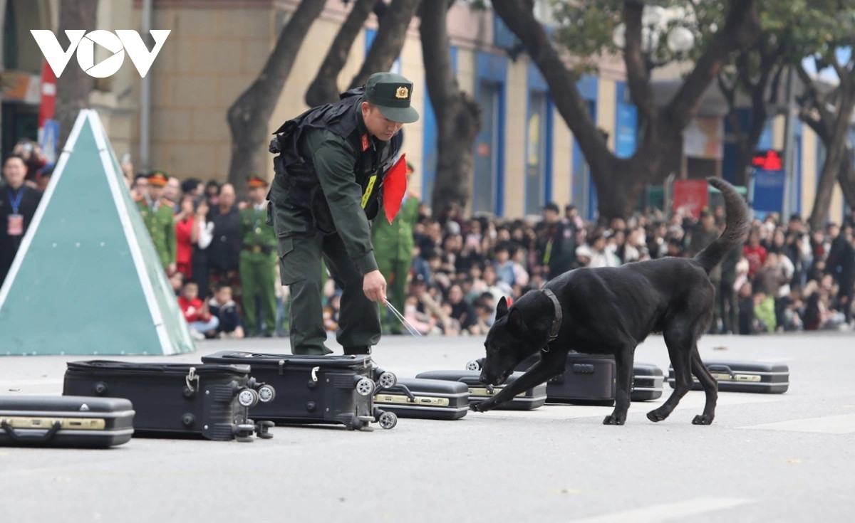 Màn biểu diễn phát hiện ma tuý, chất nổ của lực lượng cảnh khuyển (chó nghiệp vụ).