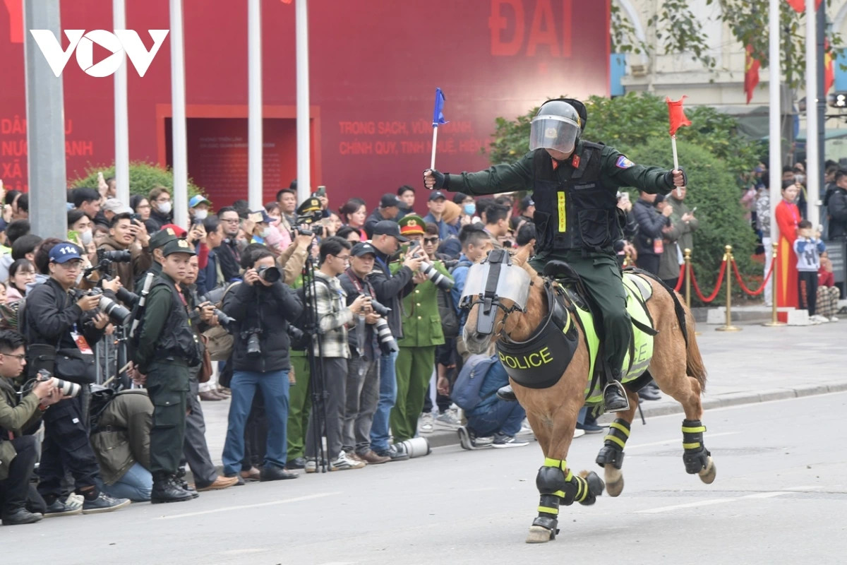 Đây là những kỹ thuật có độ khó cao và đòi hỏi phải có sự kết hợp nhuần nhuyễn giữa người và ngựa.