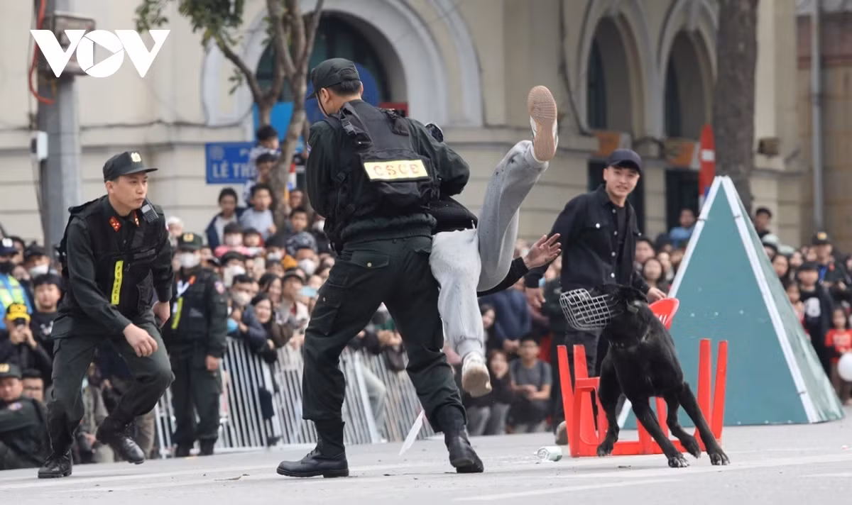 Cán bộ, chiến sĩ biểu diễn võ thuật trong bắt giữ tội phạm, kết hợp với cảnh khuyển.