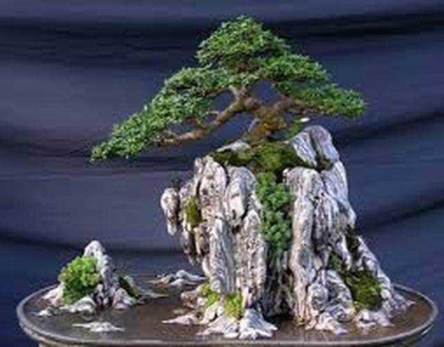 Nha them dep mat, 'cau' tai loc bang hon non bo hop phong thuy