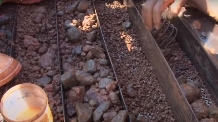 Những nguyên liệu được cho là đá quý sau đó sẽ được thu gom và sàng lọc.