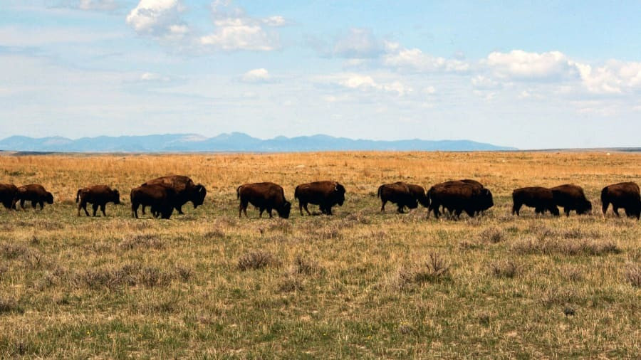 Những địa điểm tự nhiên không có tiếng ồn nhân tạo hiếm hoi trên thế giới