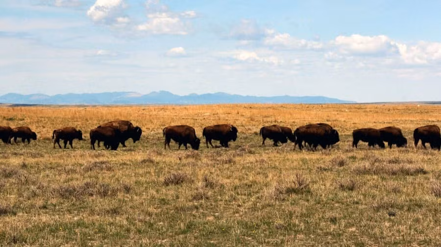 Những địa điểm tự nhiên không có tiếng ồn nhân tạo hiếm hoi trên thế giới