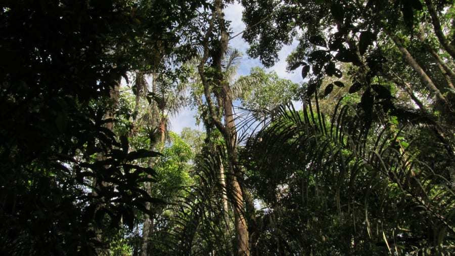 Những địa điểm tự nhiên không có tiếng ồn nhân tạo hiếm hoi trên thế giới