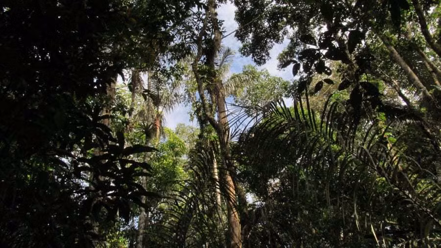 Những địa điểm tự nhiên không có tiếng ồn nhân tạo hiếm hoi trên thế giới