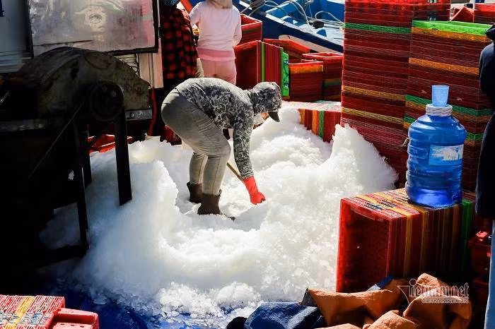 Vung xanh binh yen, cang ca lon nhat TT-Hue tap nap giua mua dich-Hinh-7